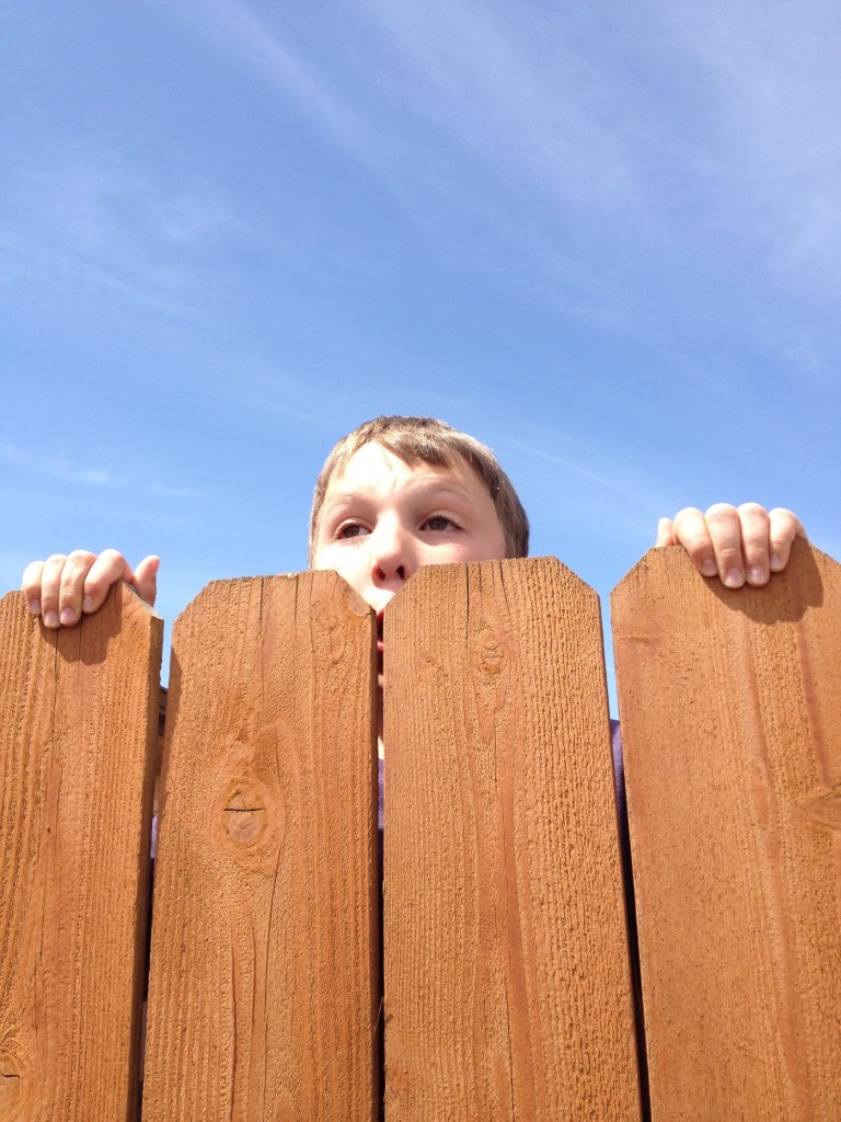 peering over fence